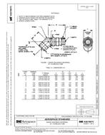 SAE AS21907C PDF