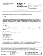 SAE AMS2773B PDF
