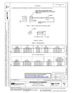 SAE AS3509B PDF