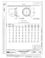 SAE AS4824B PDF