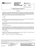 SAE AMS3901/17B PDF