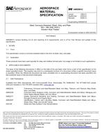 SAE AMS5901C PDF