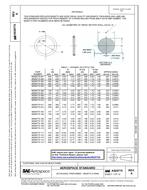 SAE AS28775A PDF