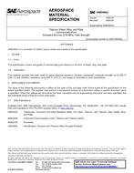 SAE AMS4902J PDF