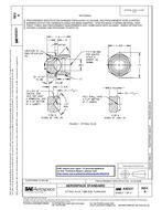 SAE AS5231A PDF