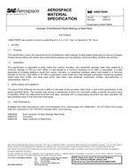 SAE AMS2759/9D PDF