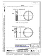 SAE AS1738C PDF