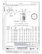 SAE AS4300B PDF