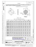 SAE AS29561A PDF
