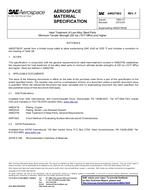 SAE AMS2759/2F PDF