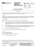 SAE AMS2759/7B PDF