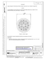 SAE AS5756/7 PDF