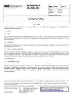 SAE AS7456B PDF
