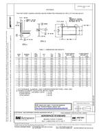 SAE AS21241 PDF