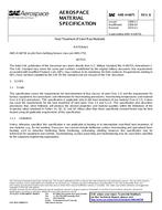 SAE AMSH6875B PDF