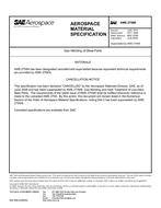 SAE AMS2756B PDF