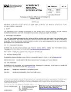 SAE AMS2813G PDF