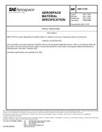 SAE AMS3170G PDF