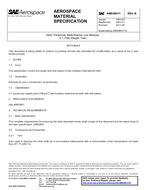 SAE AMS3801/1B PDF