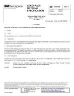 SAE AMS4209C PDF