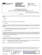 SAE AMS4601 PDF