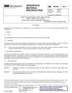 SAE AMS5604F PDF