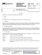 SAE AMS6413L PDF