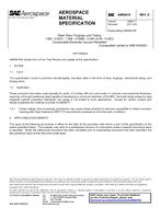 SAE AMS6419G PDF