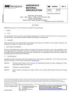 SAE AMS6543E PDF