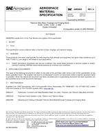 SAE AMS6905A PDF