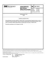 SAE AMS7295/3C PDF