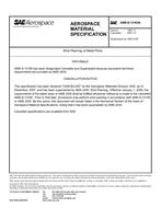 SAE AMSS13165A PDF