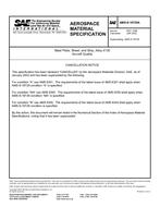 SAE AMSS18729A PDF