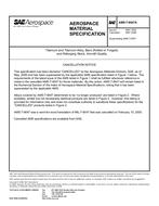 SAE AMST9047A PDF