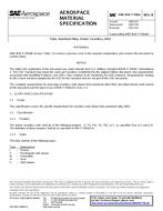 SAE AMSWWT700/6B PDF