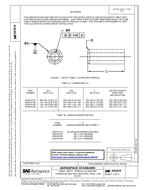 SAE AS3618 PDF