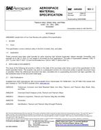 SAE AMS4899C PDF