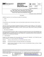 SAE AMS5843F PDF