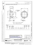SAE AS4662B PDF