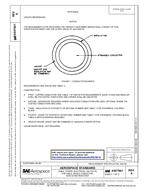 SAE AS5756/1A PDF