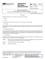 SAE AMS4344D PDF