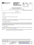 SAE AMS4206B PDF