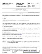 SAE AMS4134F PDF