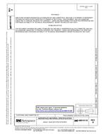 SAE AMS10135B PDF