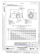 SAE AS6047A PDF
