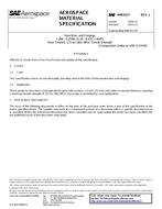 SAE AMS6317J PDF