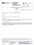 SAE AMS4943J PDF