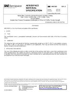 SAE AMS5583E PDF