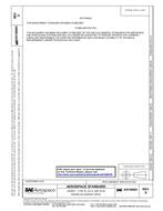 SAE AS100003D PDF