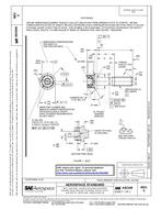 SAE AS3248C PDF